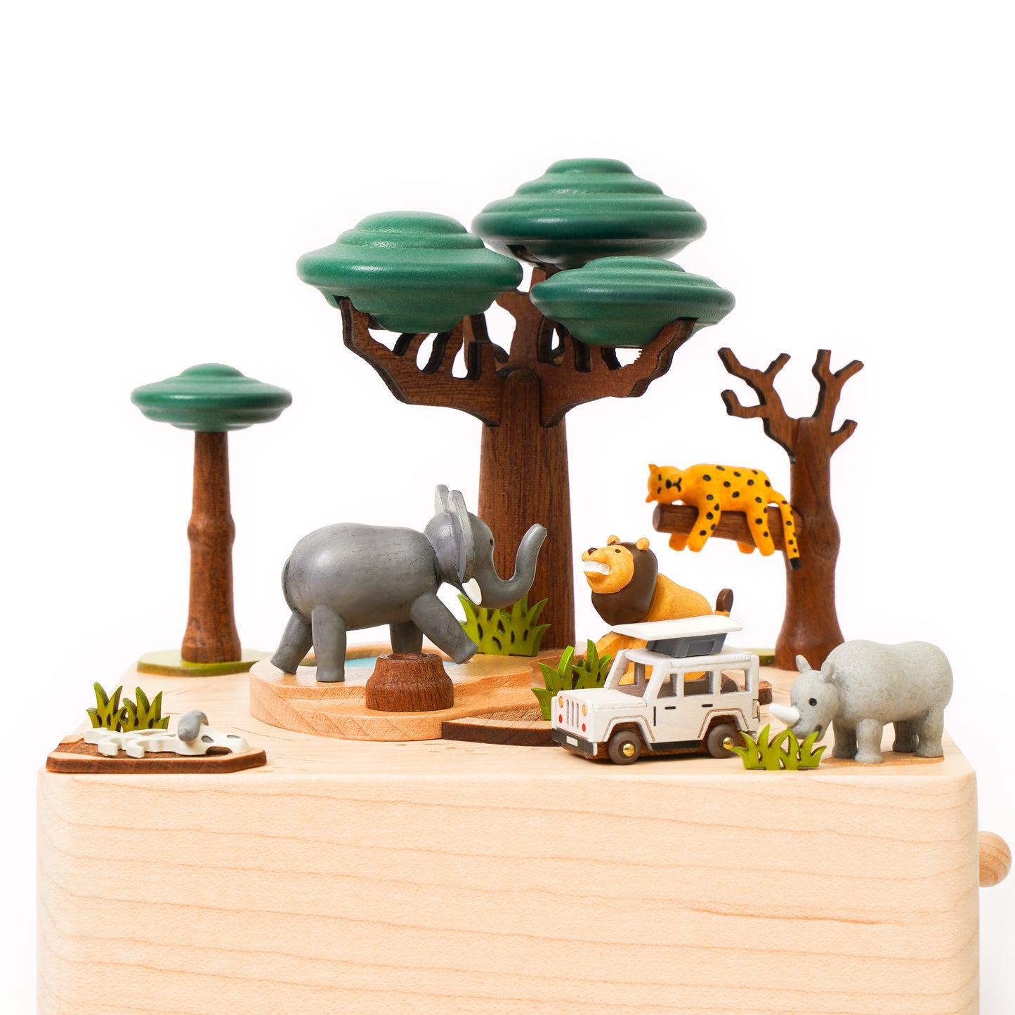 Safari