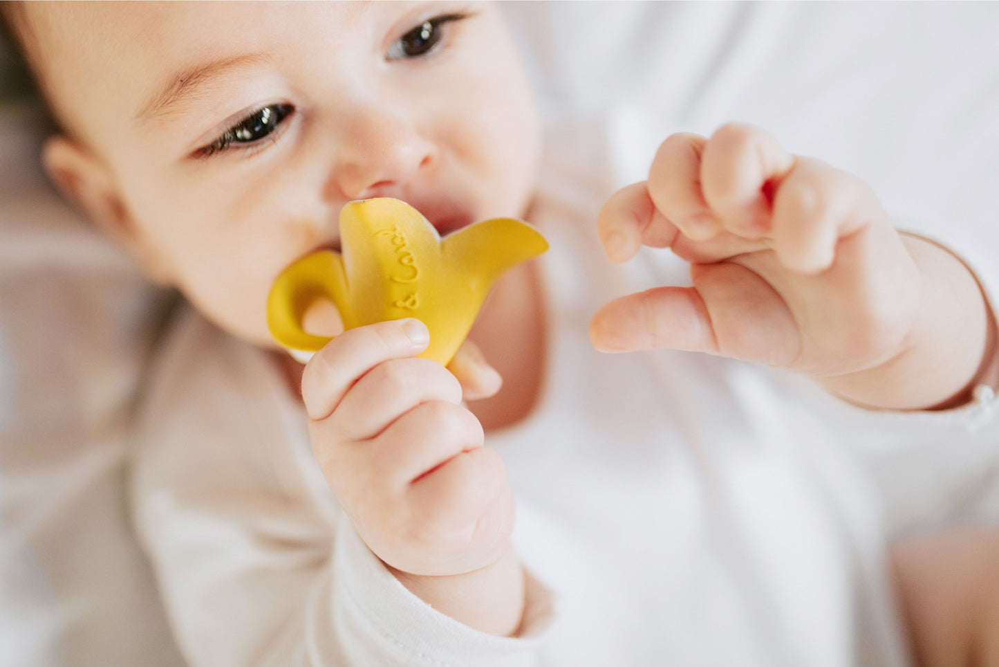 toy-teether-anita-the-bananita-mini-5