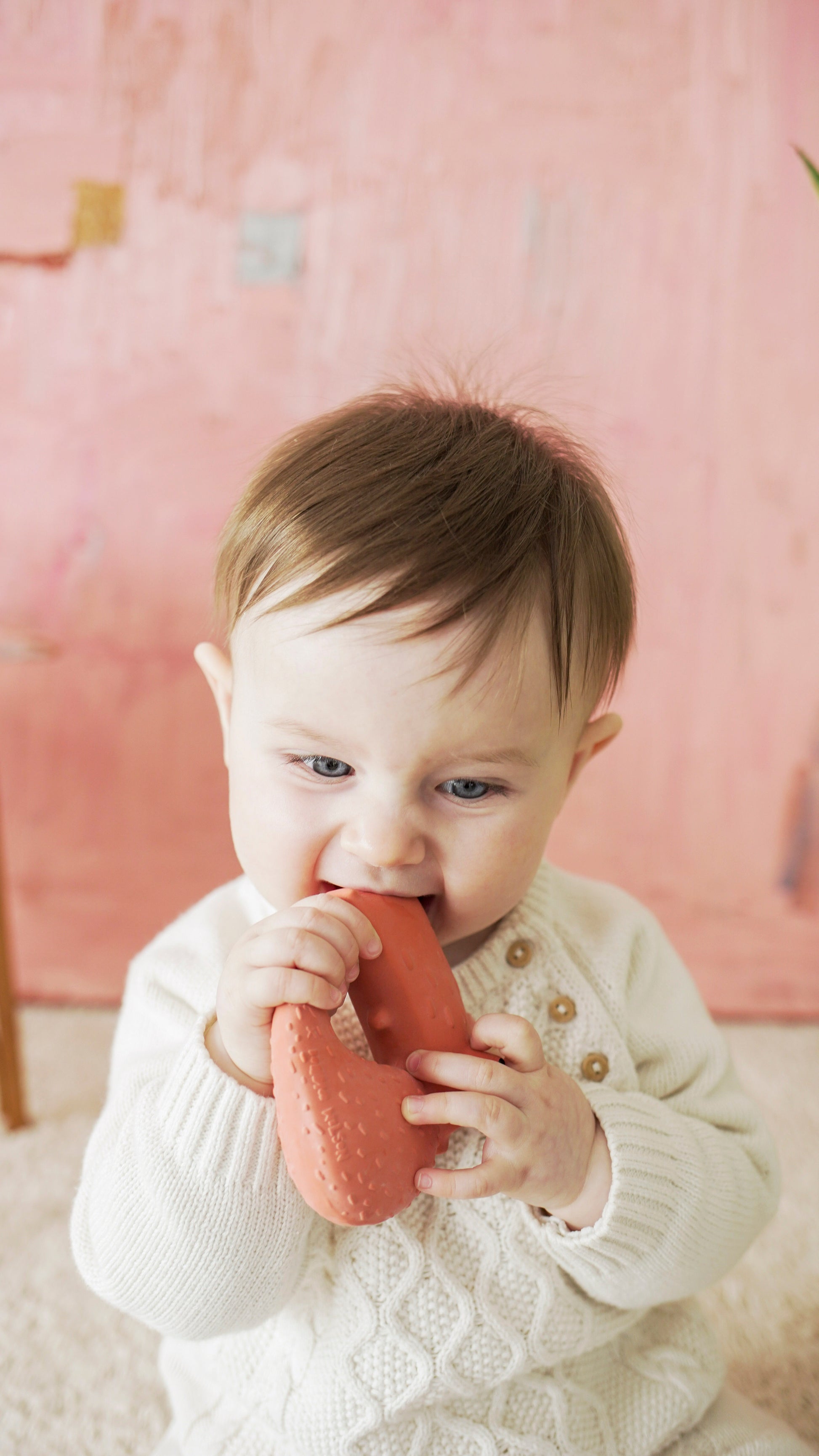 toy-teether-cyril-squirrel-fox