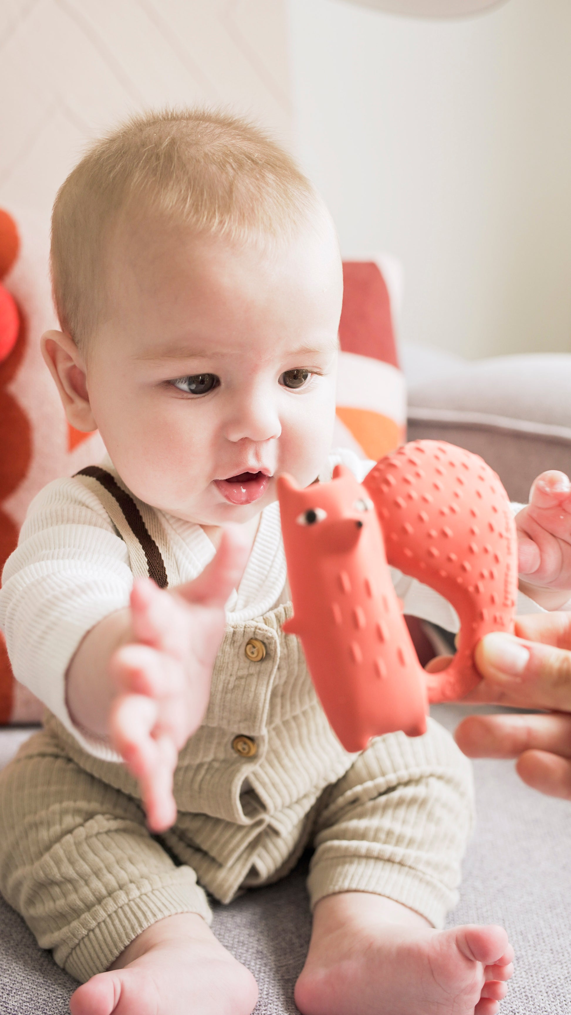 toy-teether-cyril-squirrel-fox