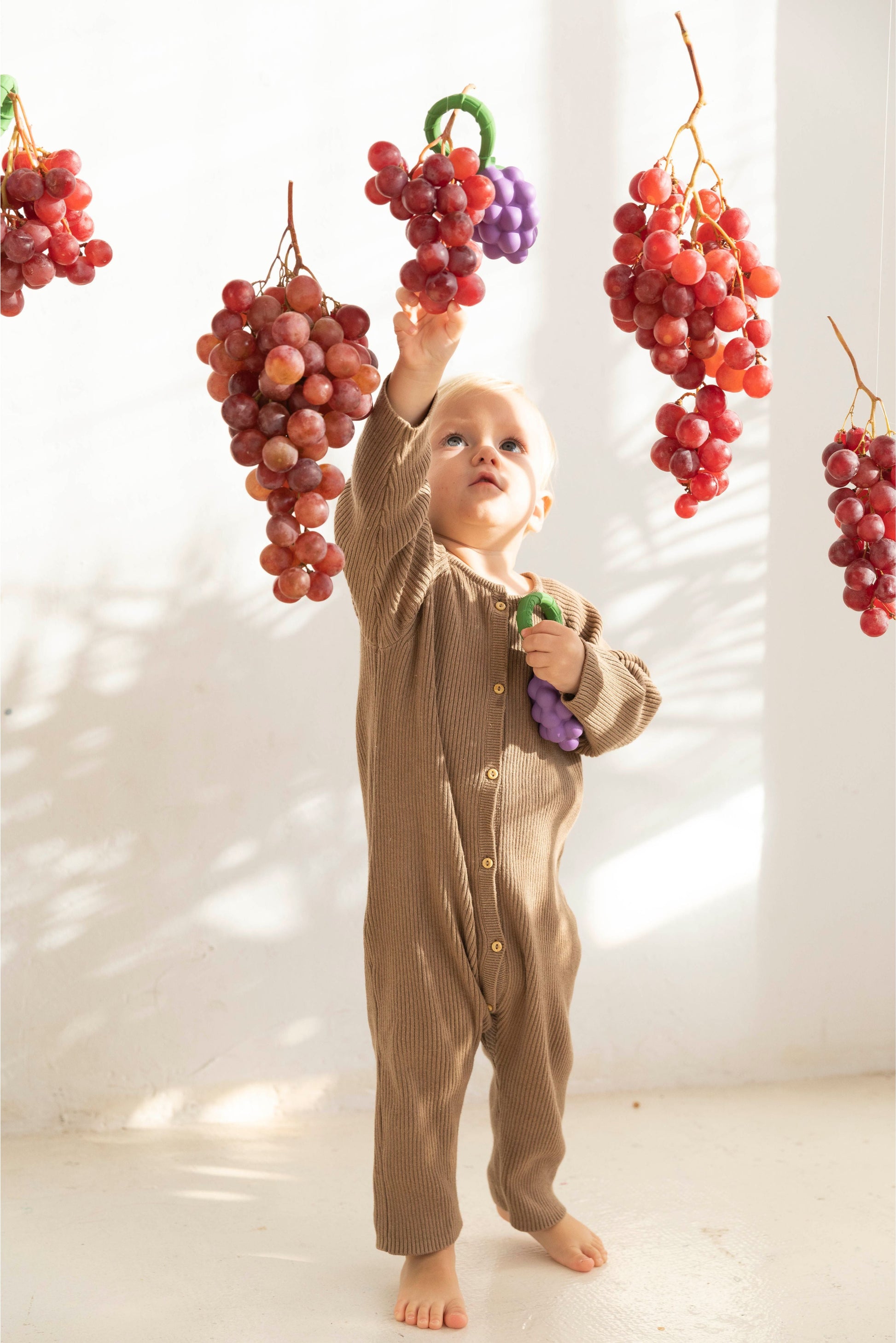 toy-teether-grape-rattle-toy