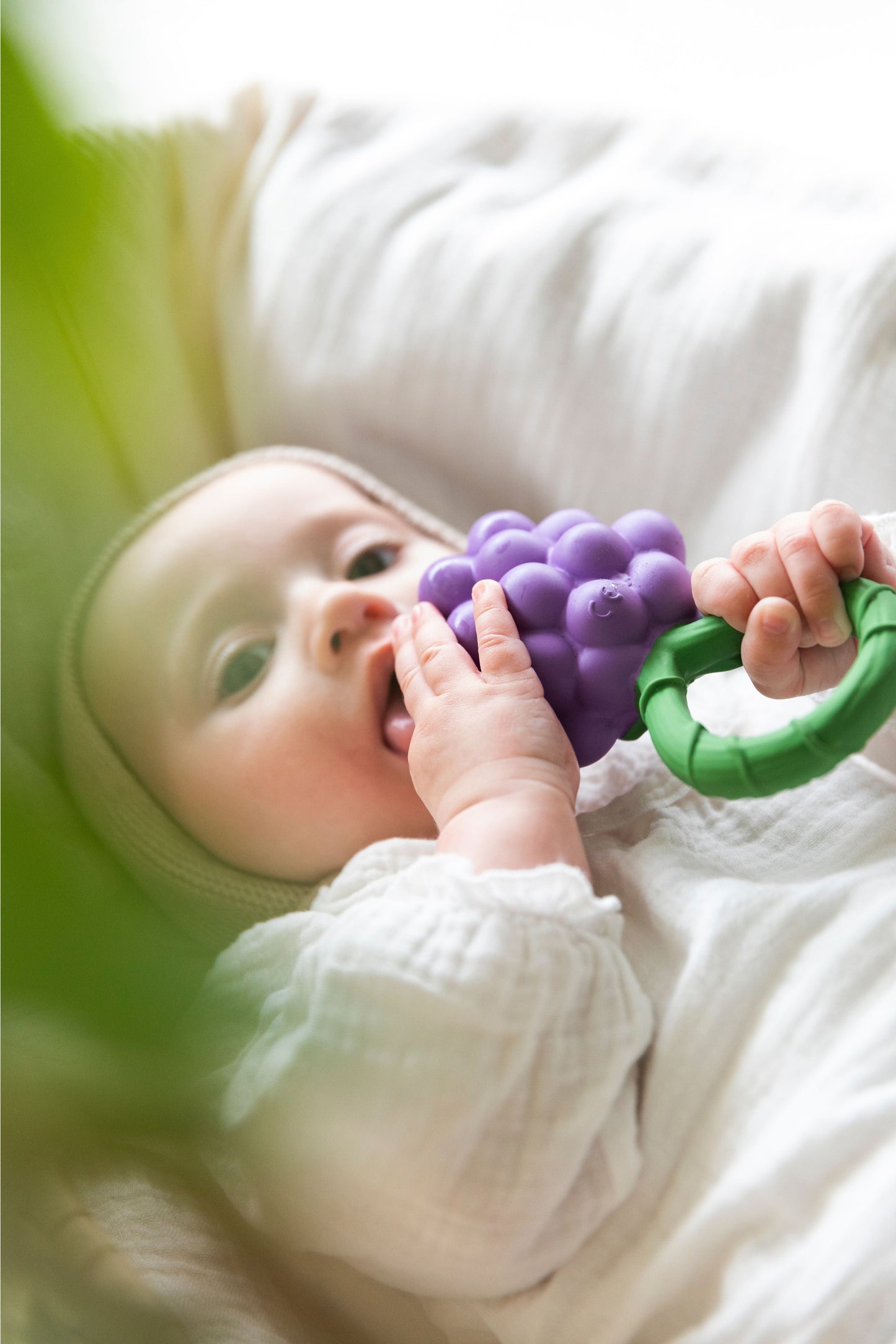 toy-teether-grape-rattle-toy