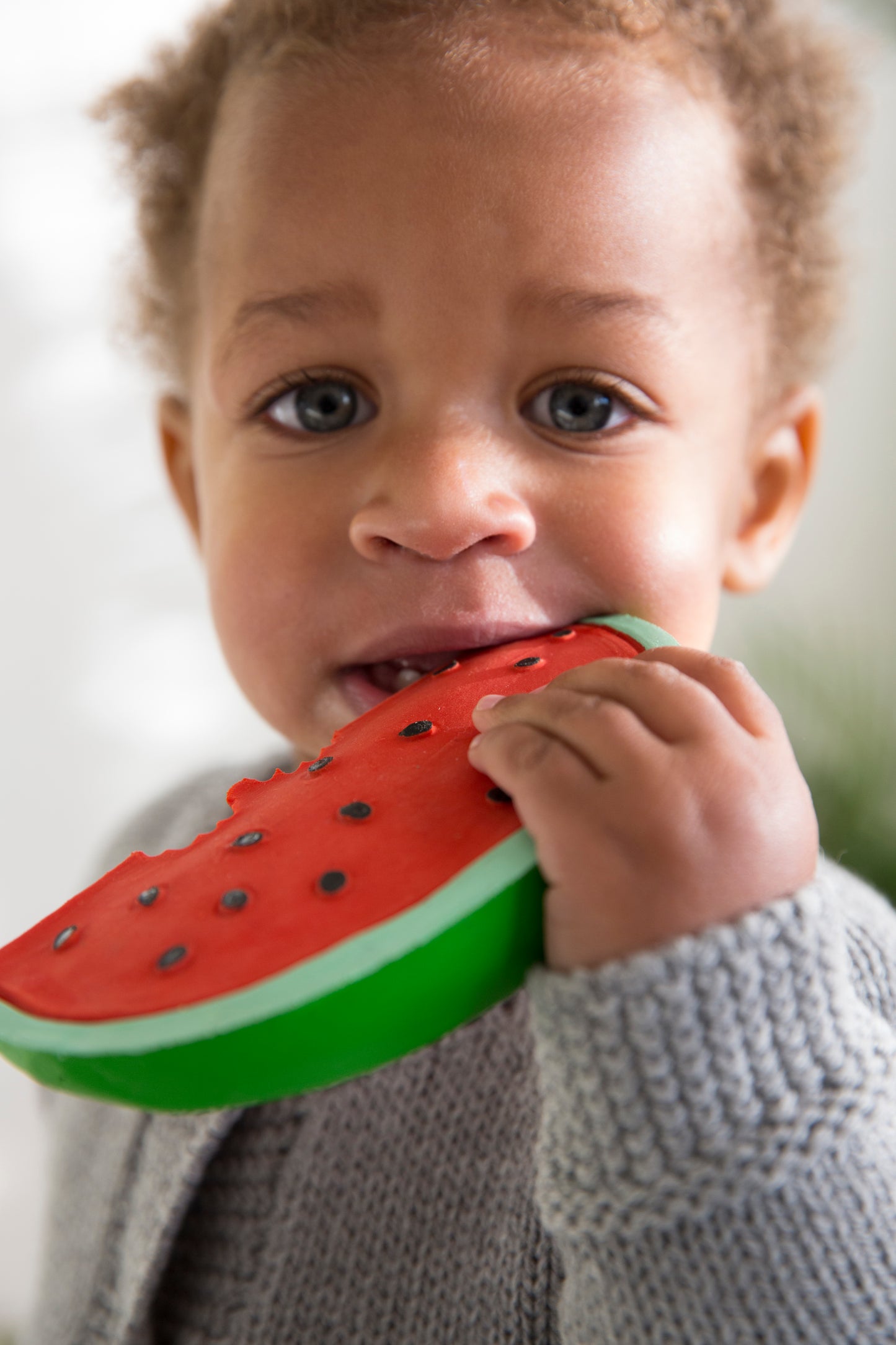 toy-teether-watermelon