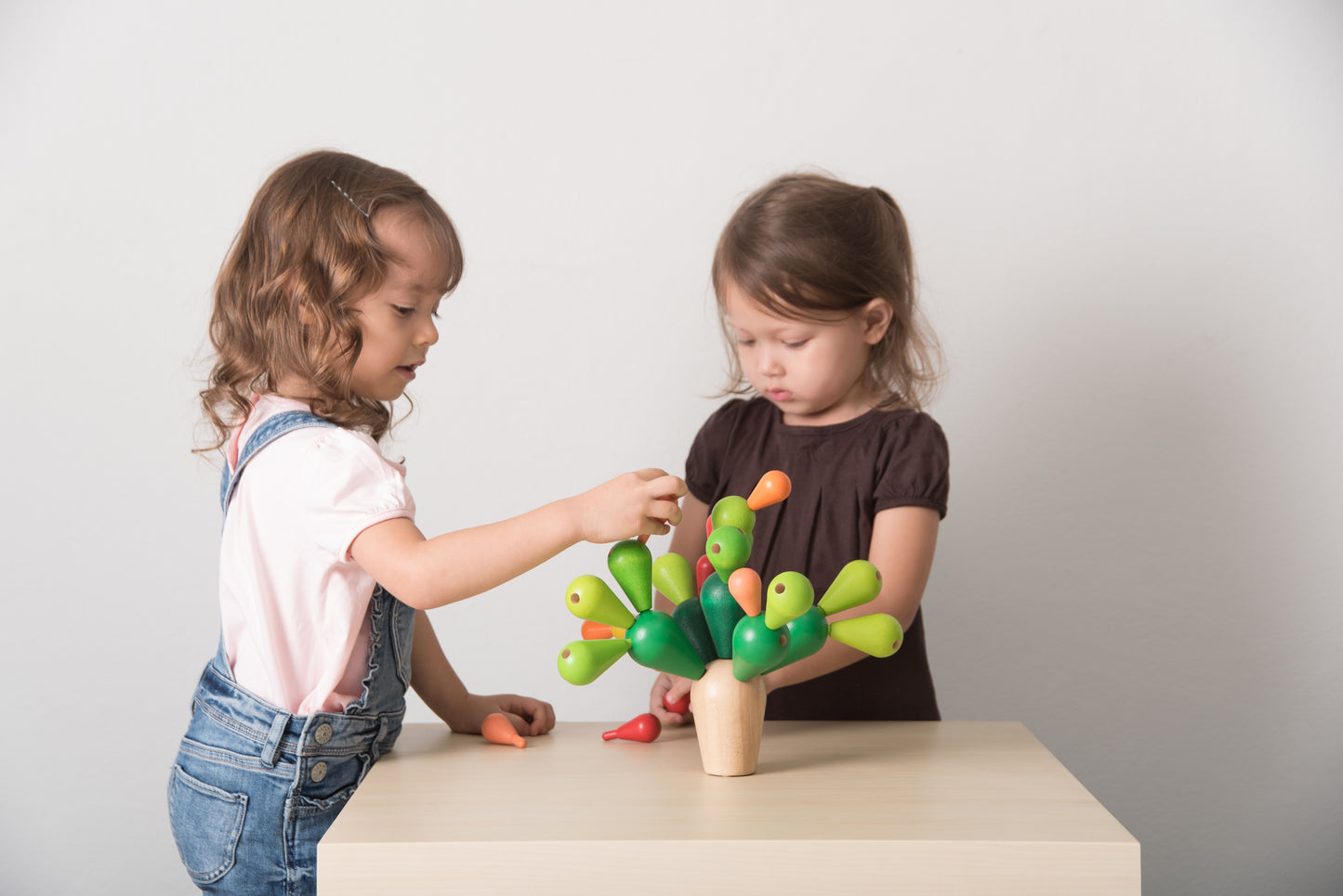 wooden-blocks-balancing-cactus