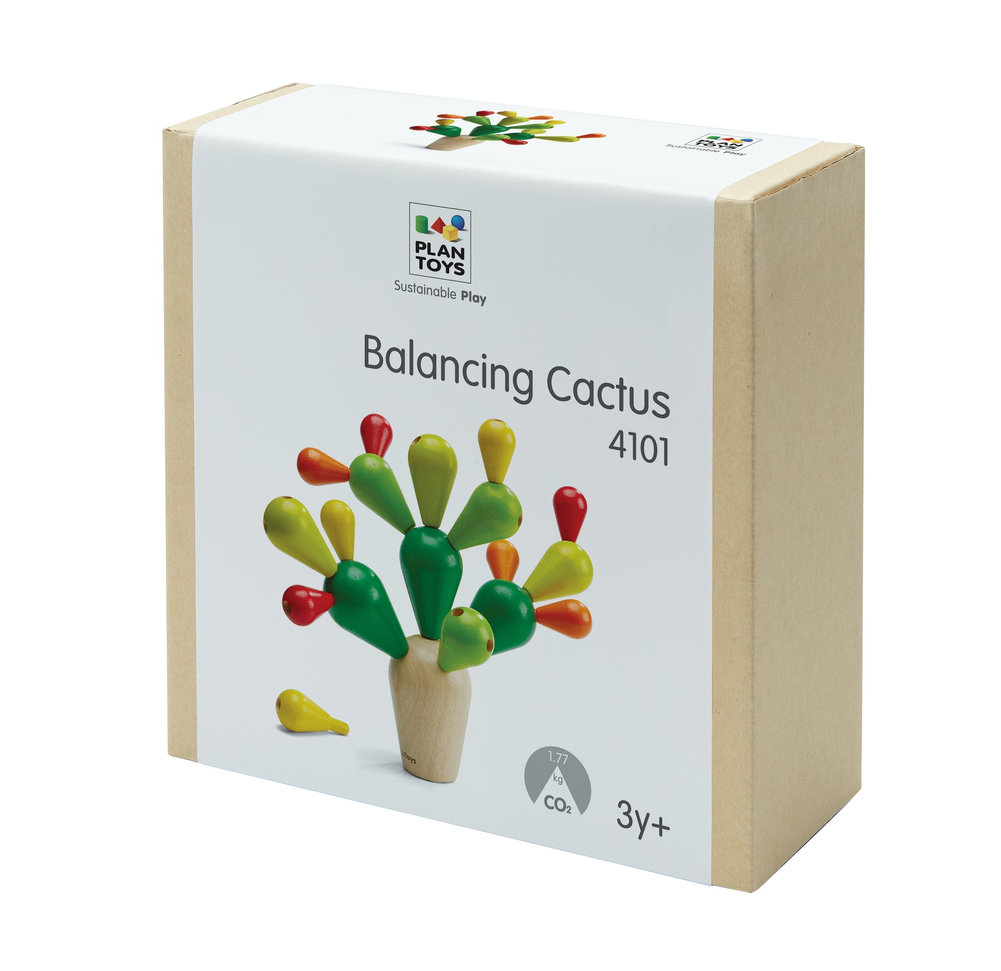 wooden-blocks-balancing-cactus
