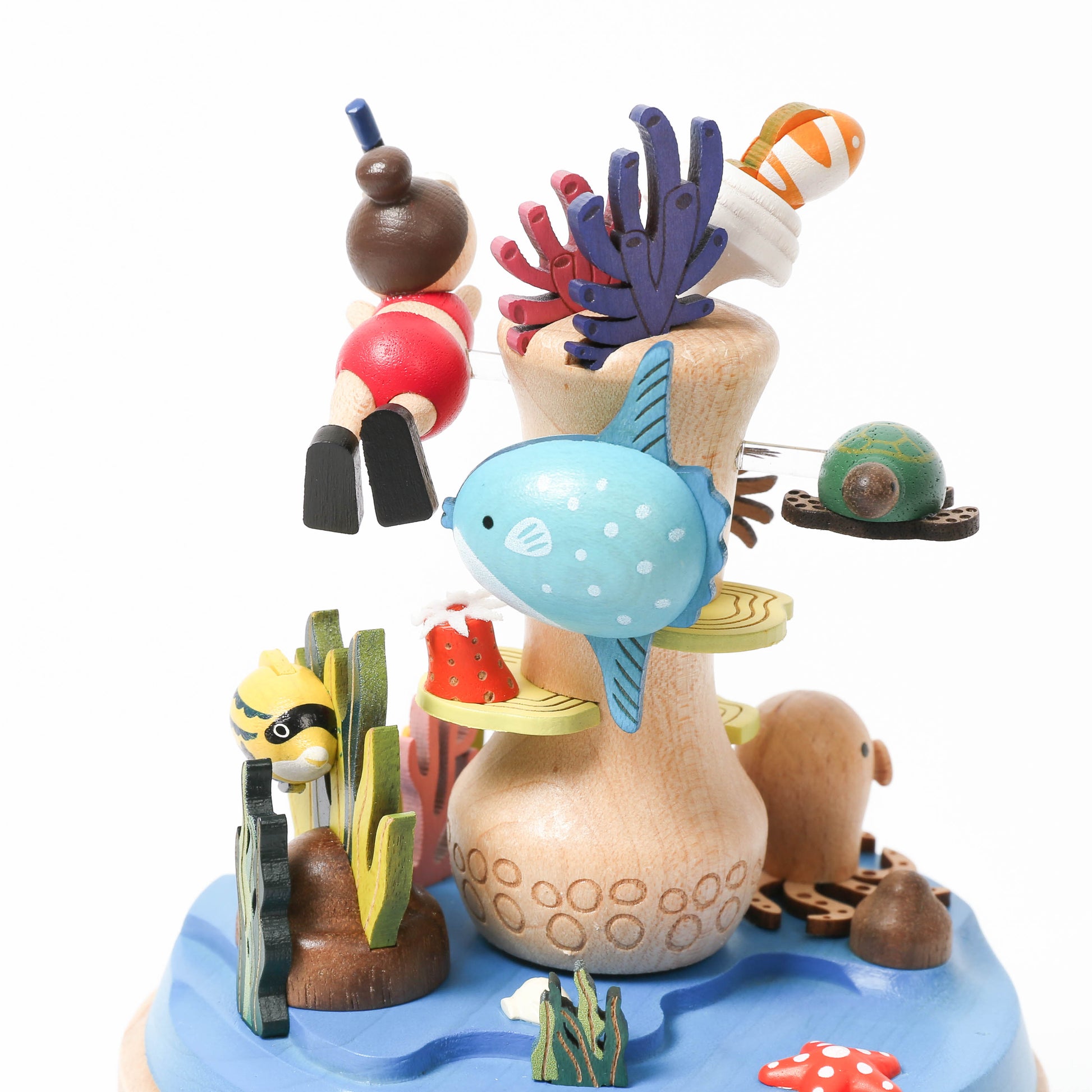 wooden-music-box-coral-reef-snorkeling