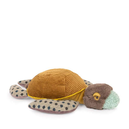 Small Turtle