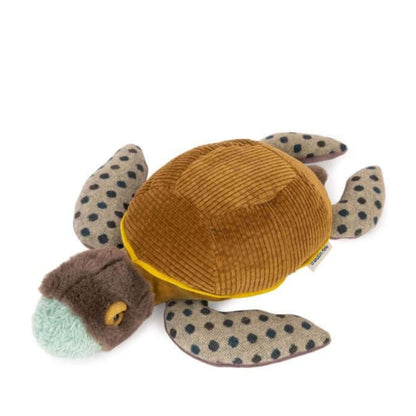 Small Turtle