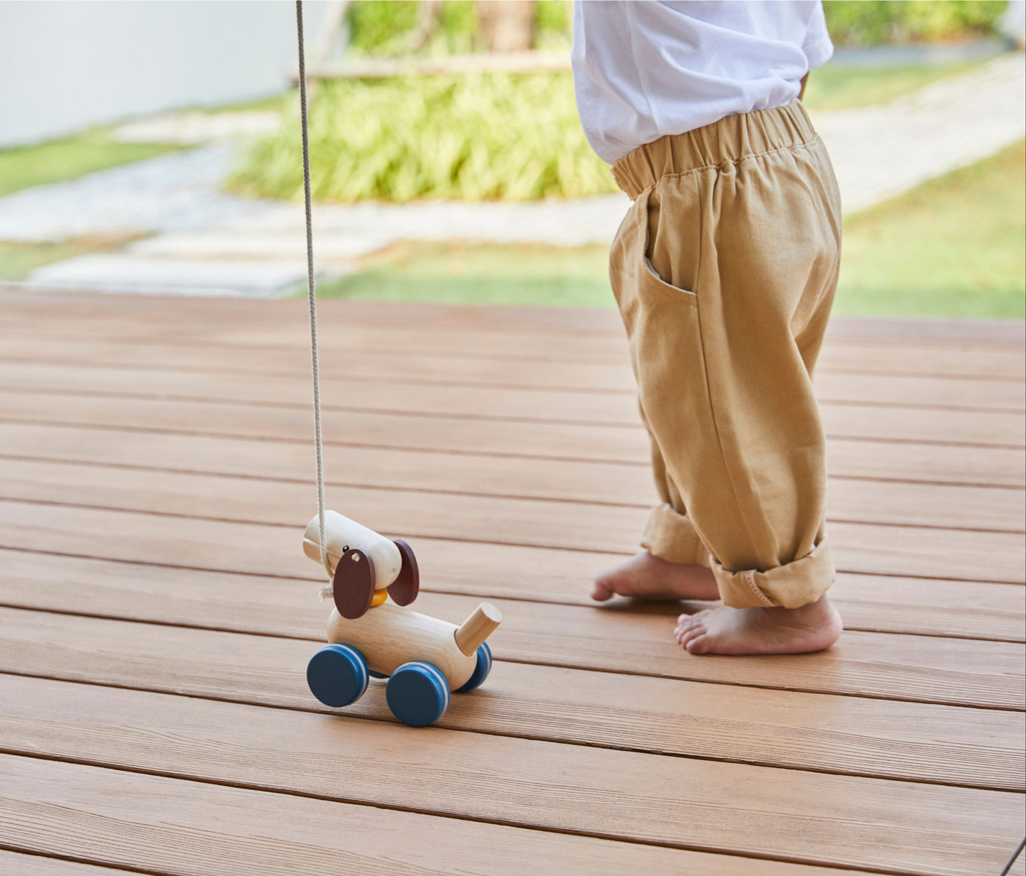 Push & Pull Puppy