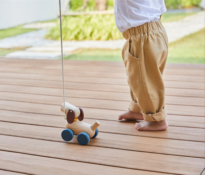 Push & Pull Puppy