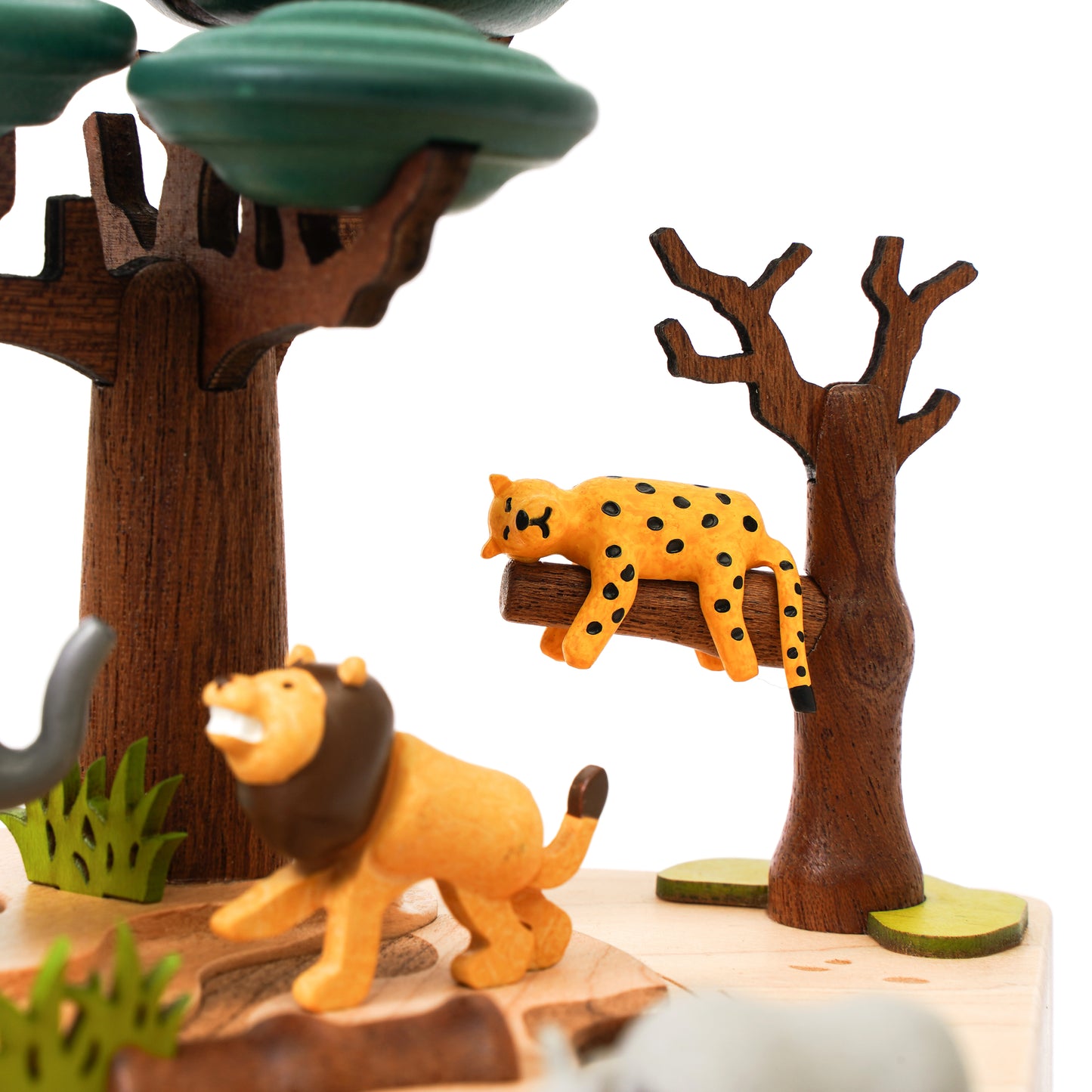 Safari