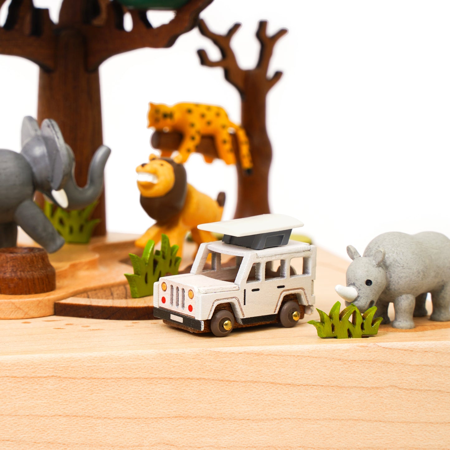 Safari