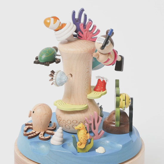 wooden-music-boxes-coral-reef-snorkeling