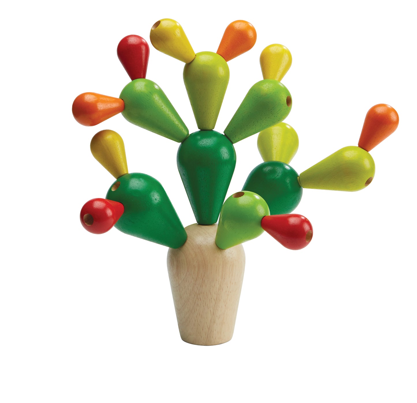 wooden-blocks-balancing-cactus