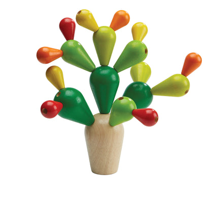 wooden-blocks-balancing-cactus